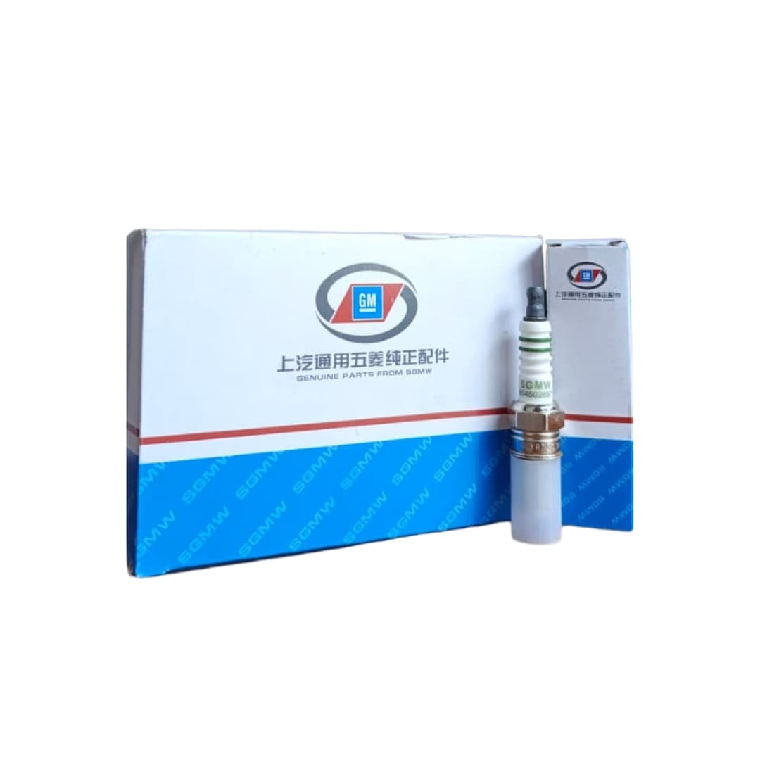 Spark Plug